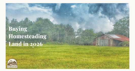 Buying Land for Homesteading: A Practical Guide