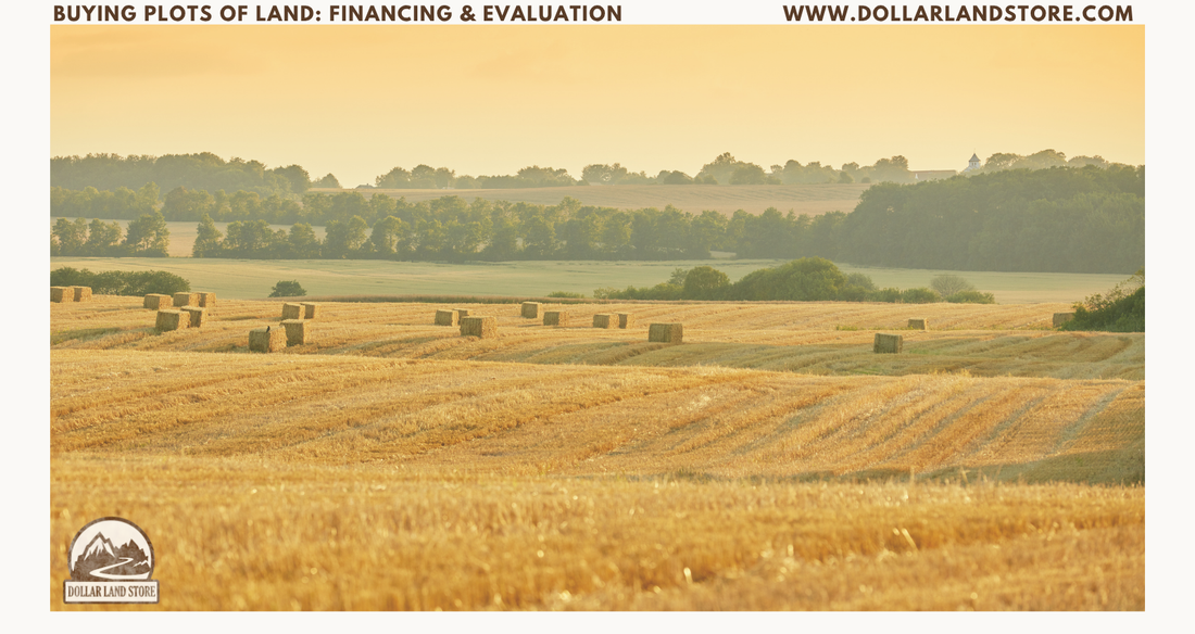 A Beginner's Guide to Buying Plots of Land: Evaluation, Financing, and Due Diligence