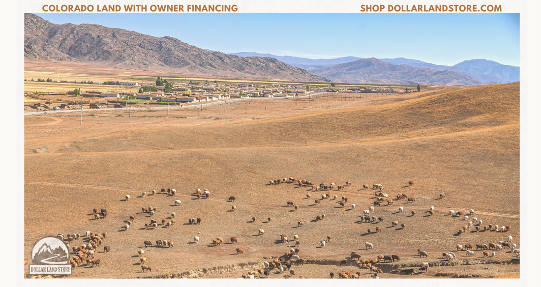 Colorado Land with Owner Financing A Buyer’s Guide