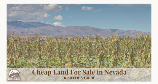 Cheap Land for Sale in Nevada: A Buyer's Guide