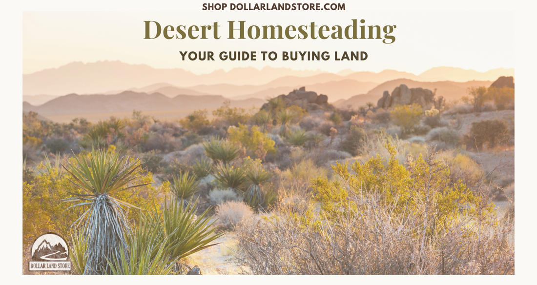 Desert Homestead 101: A Guide to Buying Your Land