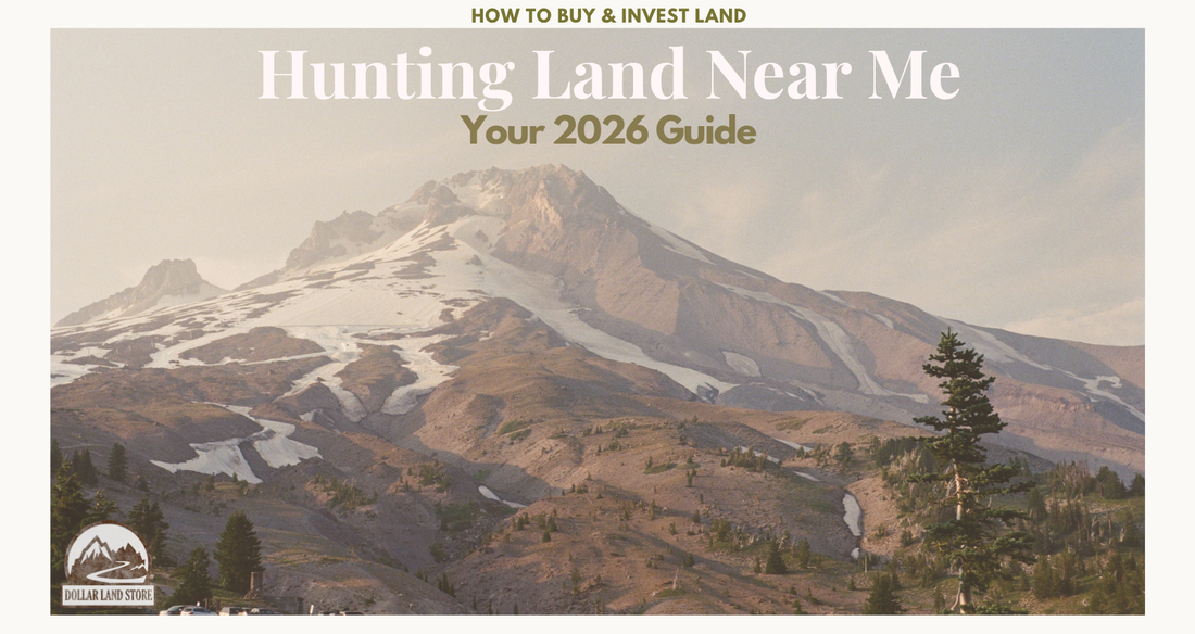 Finding Hunting Land Near Me: A Buyer's Guide