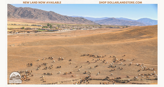 Finding Land For Sale: A Guide to Smart Property Buying