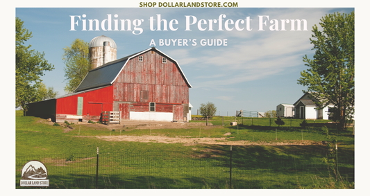 Finding the Perfect Farmette for Sale: A Buyer's Guide