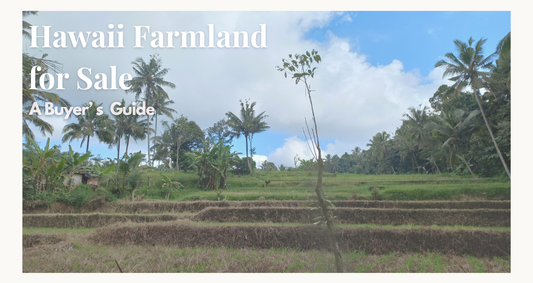 Hawaii Farmland for Sale: A Buyer's Guide (2026)