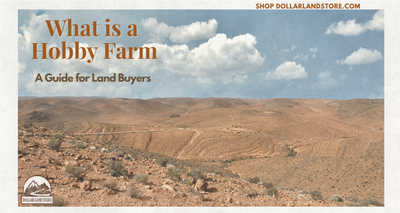 Hobby Farm Definition: A Guide for Land Buyers