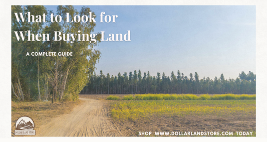 What to Look for When Buying Land A Complete Guide