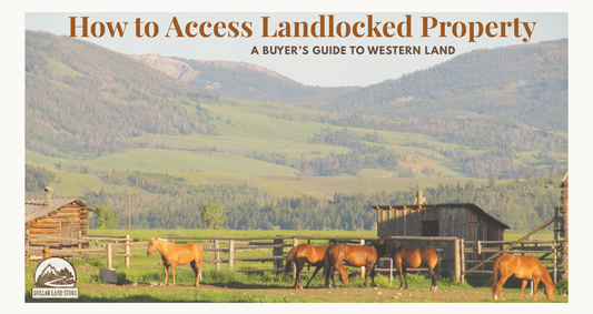 How to Access a Landlocked Property: A Buyer's Guide