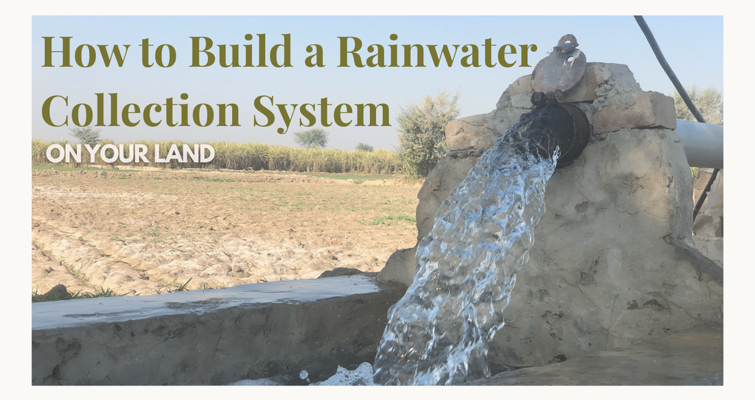 How to Build a Rainwater Collection System for Your Land