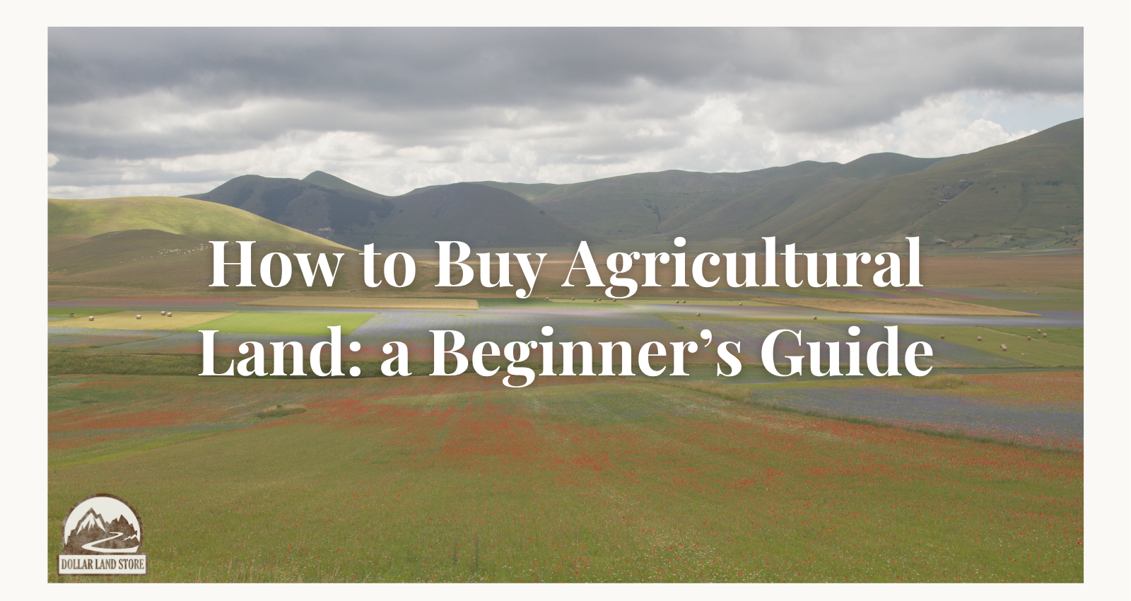 How to Buy Agricultural Land: A Beginner's Guide (2026) – Dollar Land Store