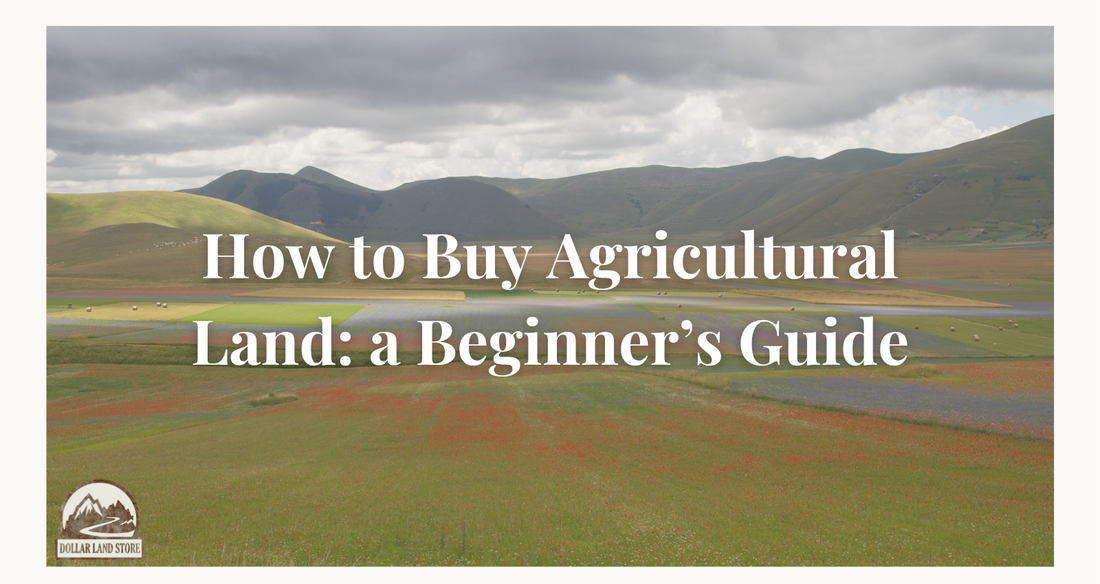 How to Buy Agricultural Land: A Beginner's Guide (2026)