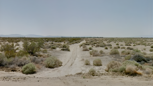Is Rural land available for purchase a good investment?