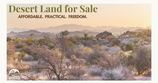 Land for Sale in the Desert: A Practical Buyer's Guide