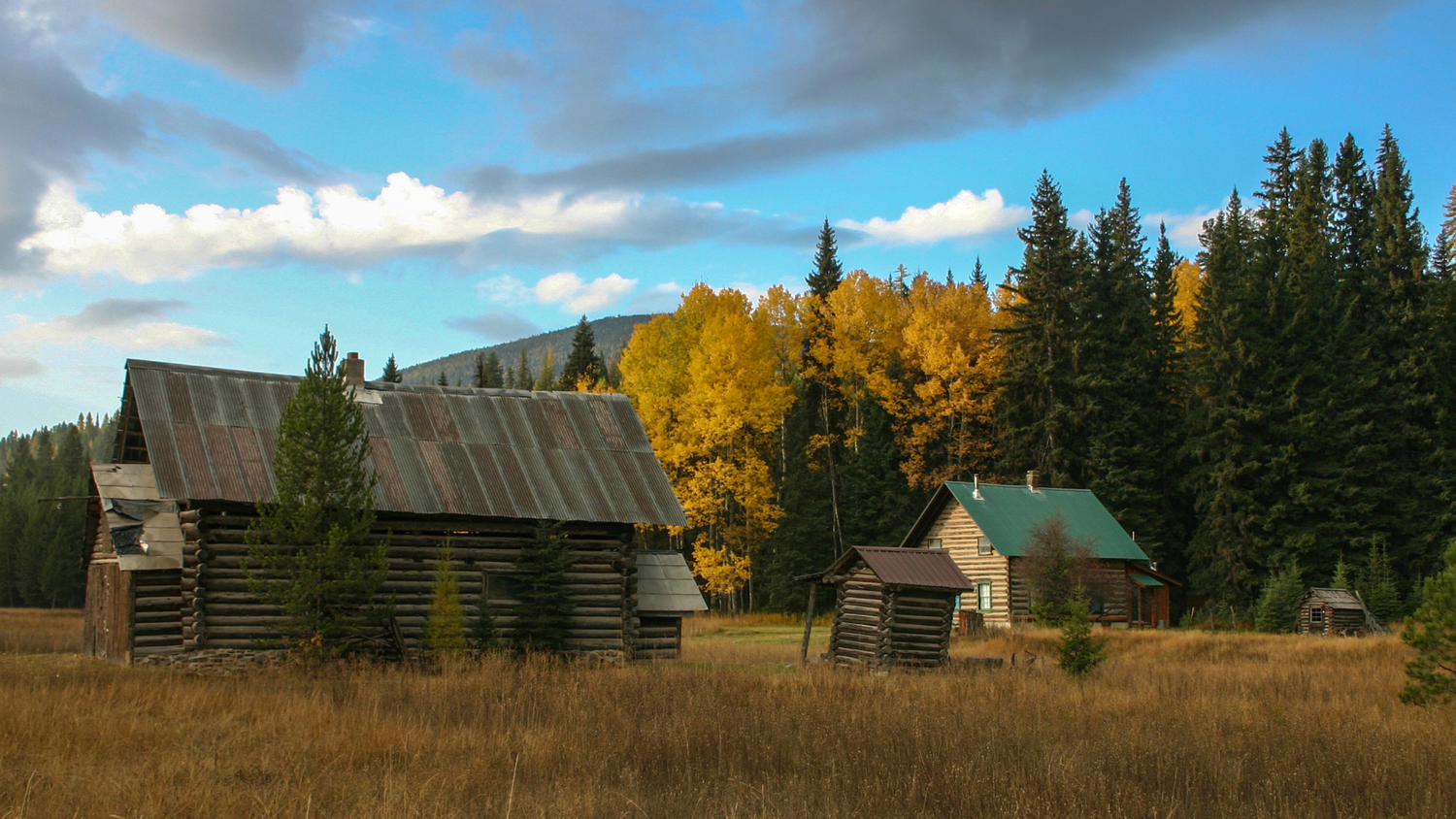 Log cabin homestead in a mountain meadow with autumn trees.