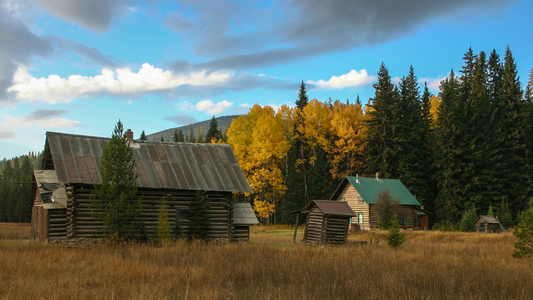 Log cabin homestead in a mountain meadow with autumn trees.