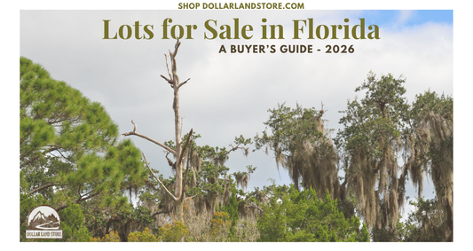 Lots for Sale by Owner Florida: A Buyer's Guide 2026