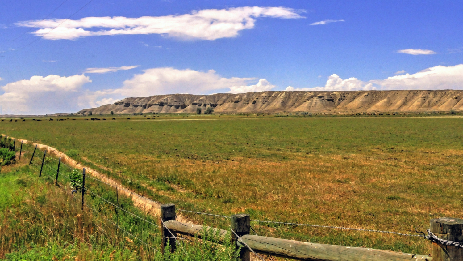 Open grassland with fence line and mesa backdrop under blue sky in southern Colorado.