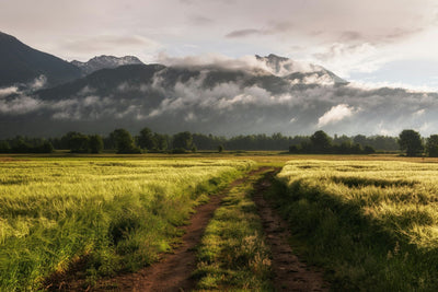 Raw Land vs Improved Land