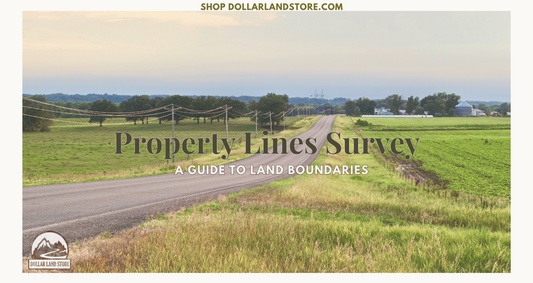 Property Line Surveys: A Buyer's Guide to Land Boundaries