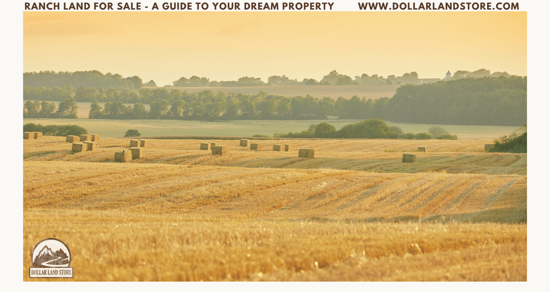 Ranch Land for Sale: Your Guide to Dream Property