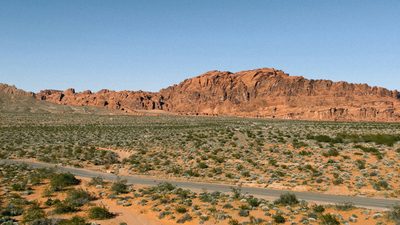 How To Access A Landlocked Property: A Buyer's Guide
