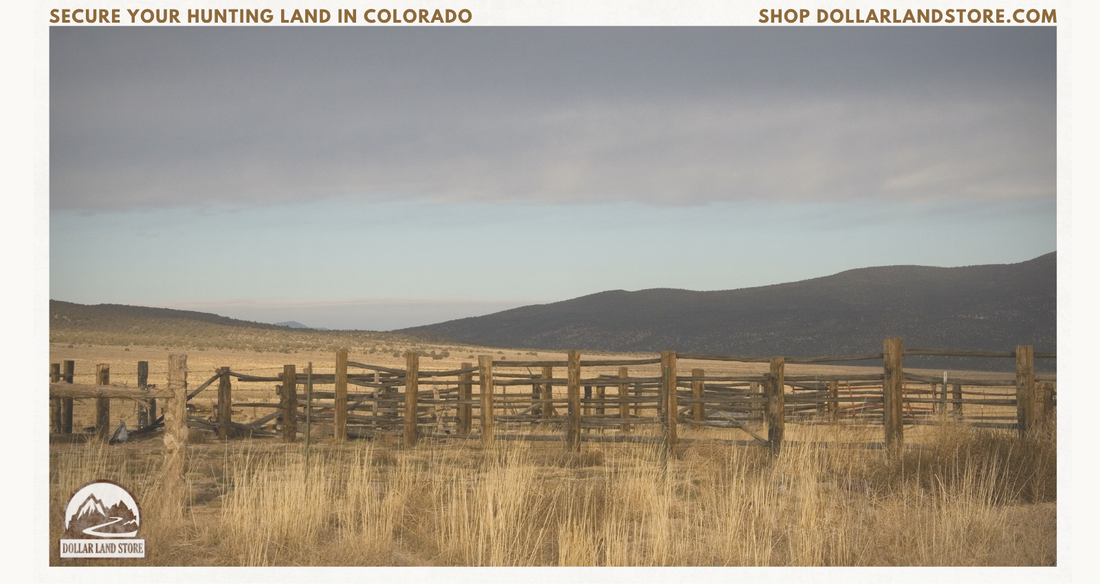 Secure Your Hunting Land Colorado: Expert Buyer's Guide