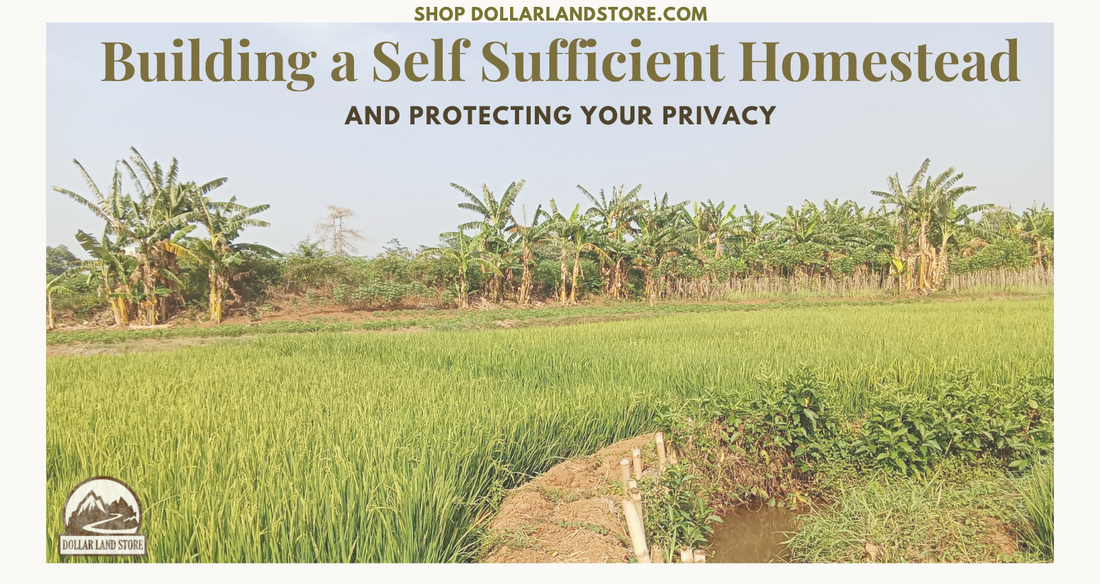 Self Sufficient Homestead: A Complete Guide