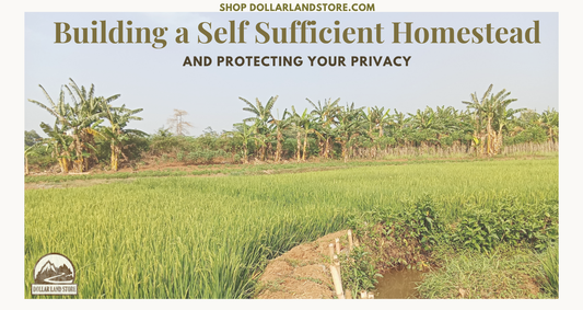 Self Sufficient Homestead: A Complete Guide