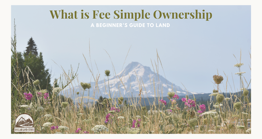 What Is Fee Simple Ownership? a Plain-English Guide