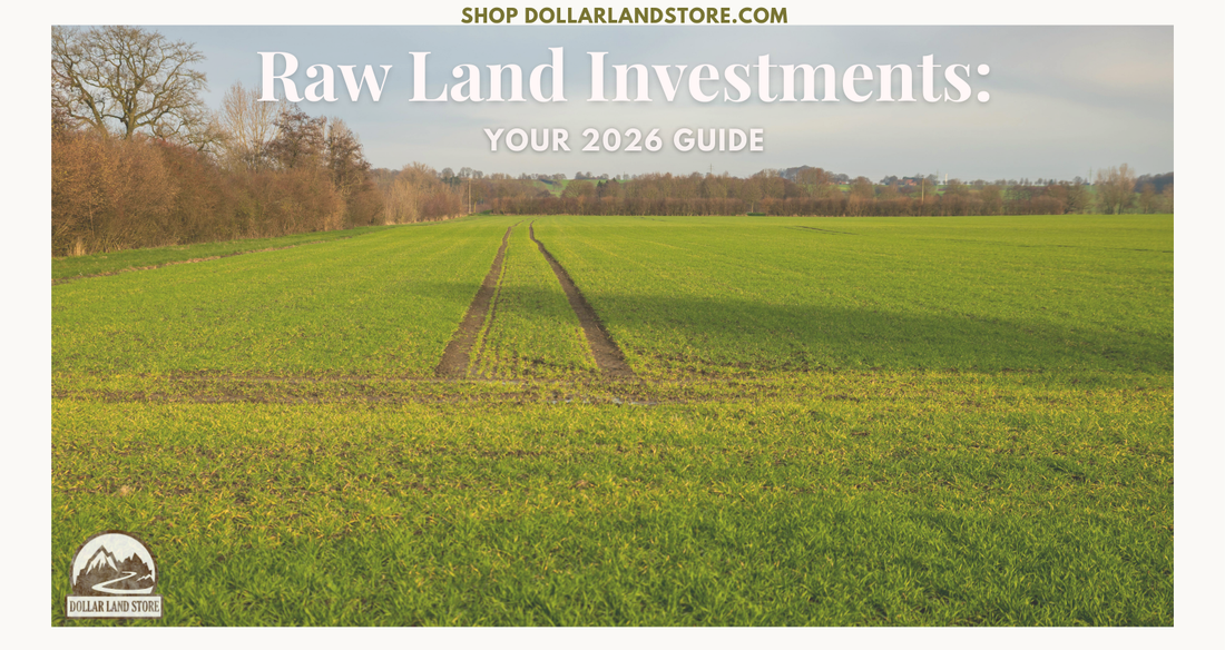 A Beginner's Guide to Raw Land Investment