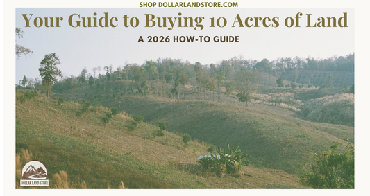 Your Guide to Buying 10 Acres of Land