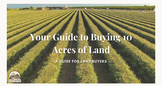Your Guide to Buying 10 Acres of Land