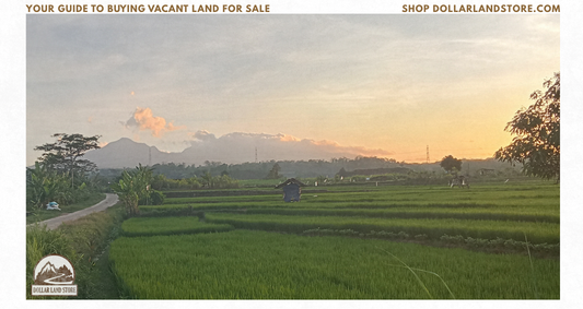 Your Guide to Buying Cheap Vacant Land for Sale