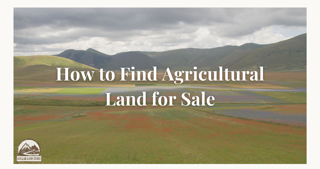 Your Guide to Finding Ag Land for Sale
