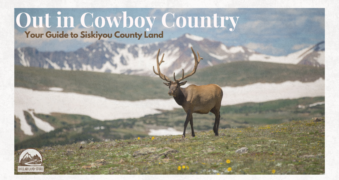 Your Complete Guide to Siskiyou County Vacant Land in 2026