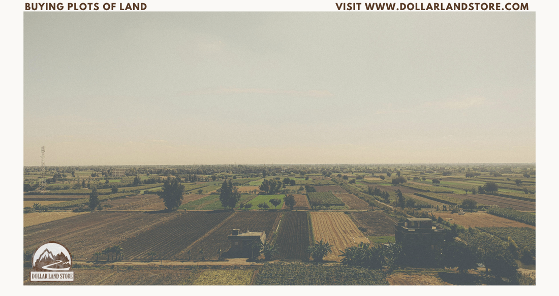 A Beginner's Guide to Buying Plots of Land: Evaluation, Financing, and Due Diligence