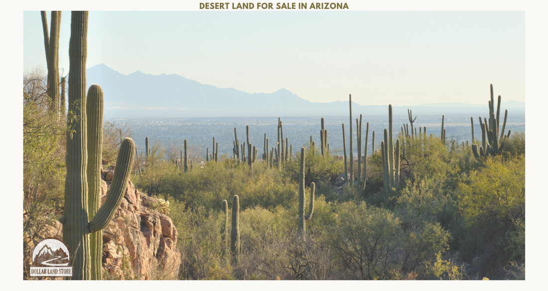 Desert Land for Sale Arizona