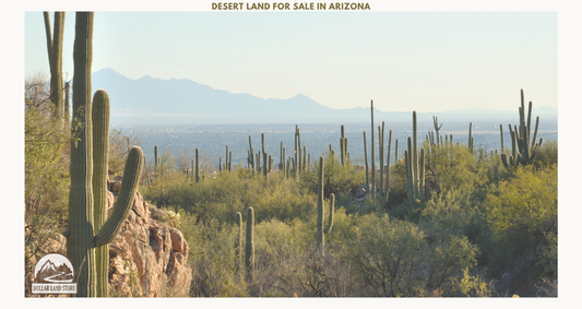 Desert Land for Sale Arizona