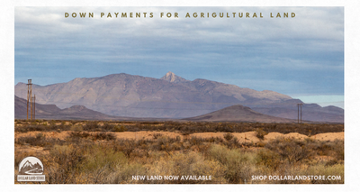 Down Payment for Agricultural Land: A Buyer's Guide