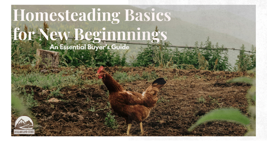 Homesteading Basics: A Beginner's Guide to Starting Out