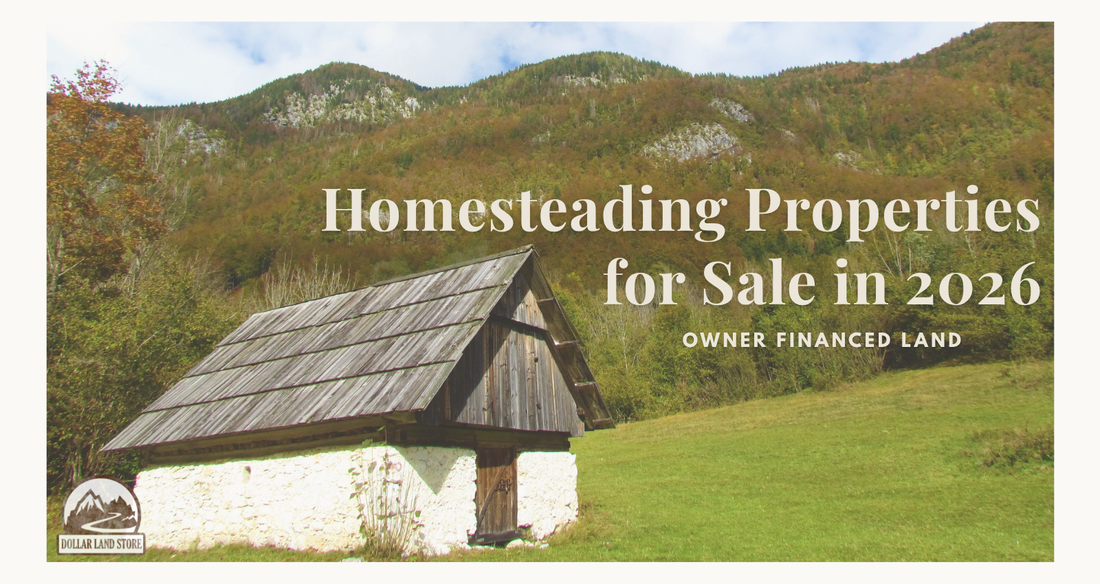 Homesteading Properties for Sale: 2026 Buyer's Guide