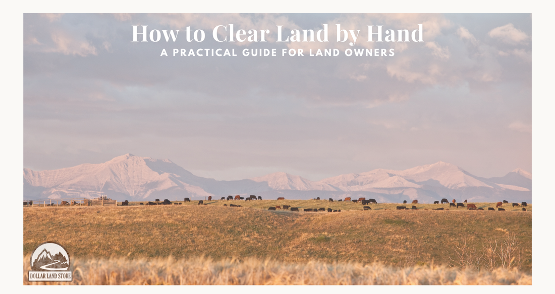 How to Clear Land by Hand: A Practical Guide for New Landowners
