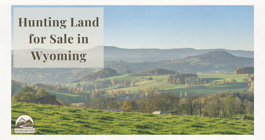 Hunting Land For Sale in Wyoming: A Buyer's Guide