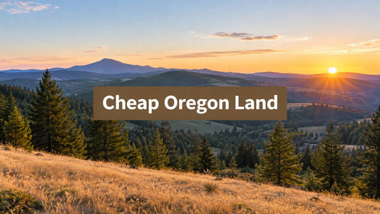 Land in Oregon for Sale Cheap: A Buyer's Guide