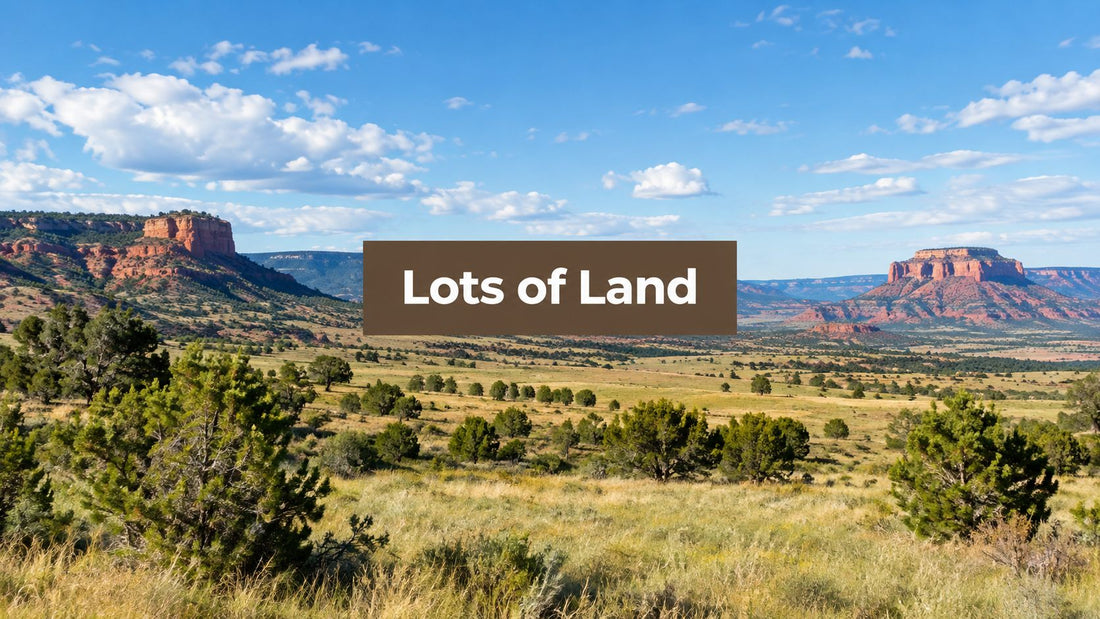 Buying Lots of Land in the Western US