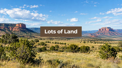 Buying Lots of Land in the Western US