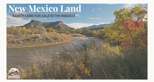 Ranch Land for Sale New Mexico: A 2026 Buyer's Guide
