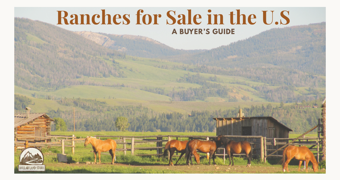 Ranches for Sale in the United States: A Buyer's Guide