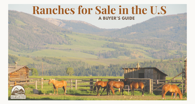 Ranches for Sale in the United States: A Buyer's Guide