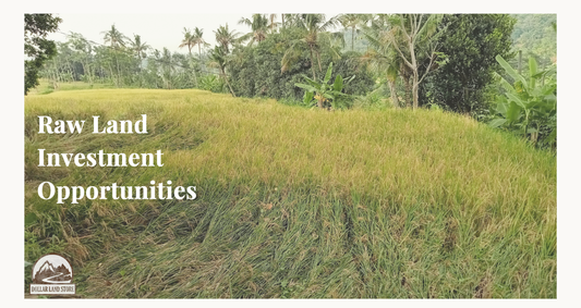 A Beginner's Guide to Raw Land Investment